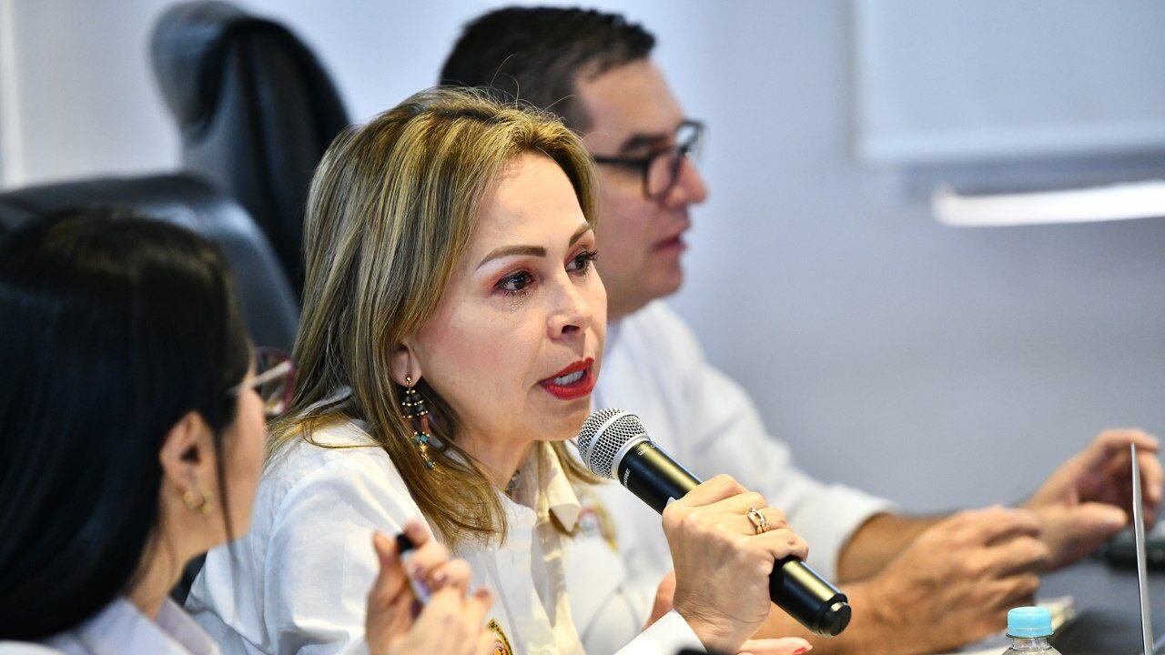 Mery Luz Hernández se desempeñaba como secretaria Cultura y Turismo de Santander.