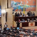 En Congreso en medio de la radicación de la ponencia.