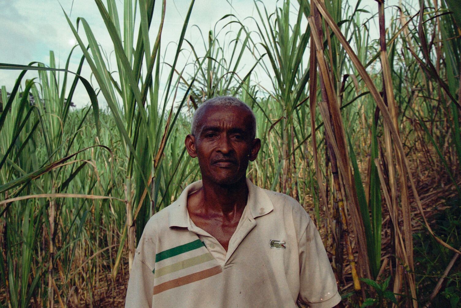 Ruperto González, maestro vichero de Tumaco.