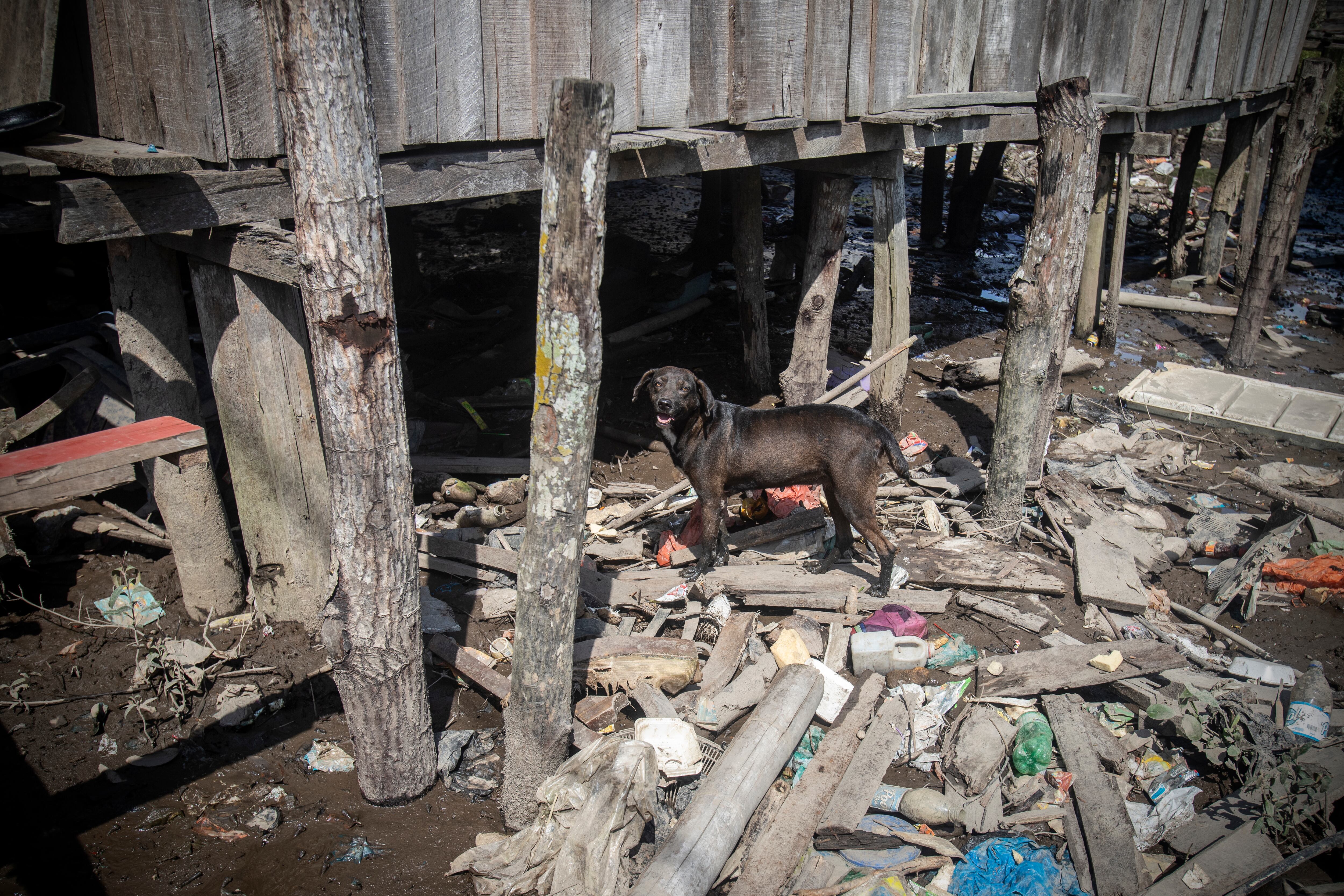 DESPLAZAMIENTO FORZADO TRIANGULO DE TELEMBI