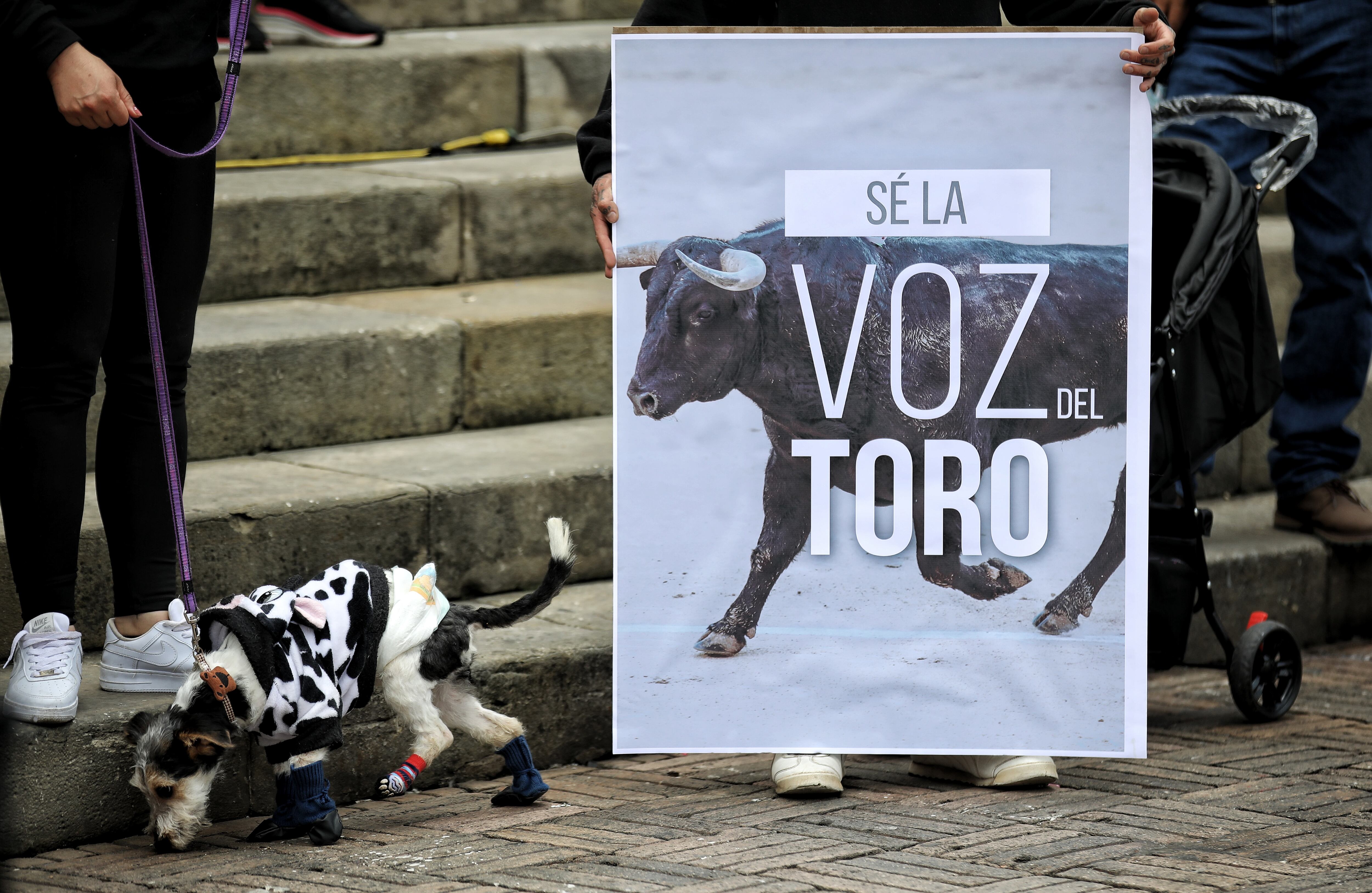 Protesta antitaurina en la plaza de Bolívar frente al Congreso de la República