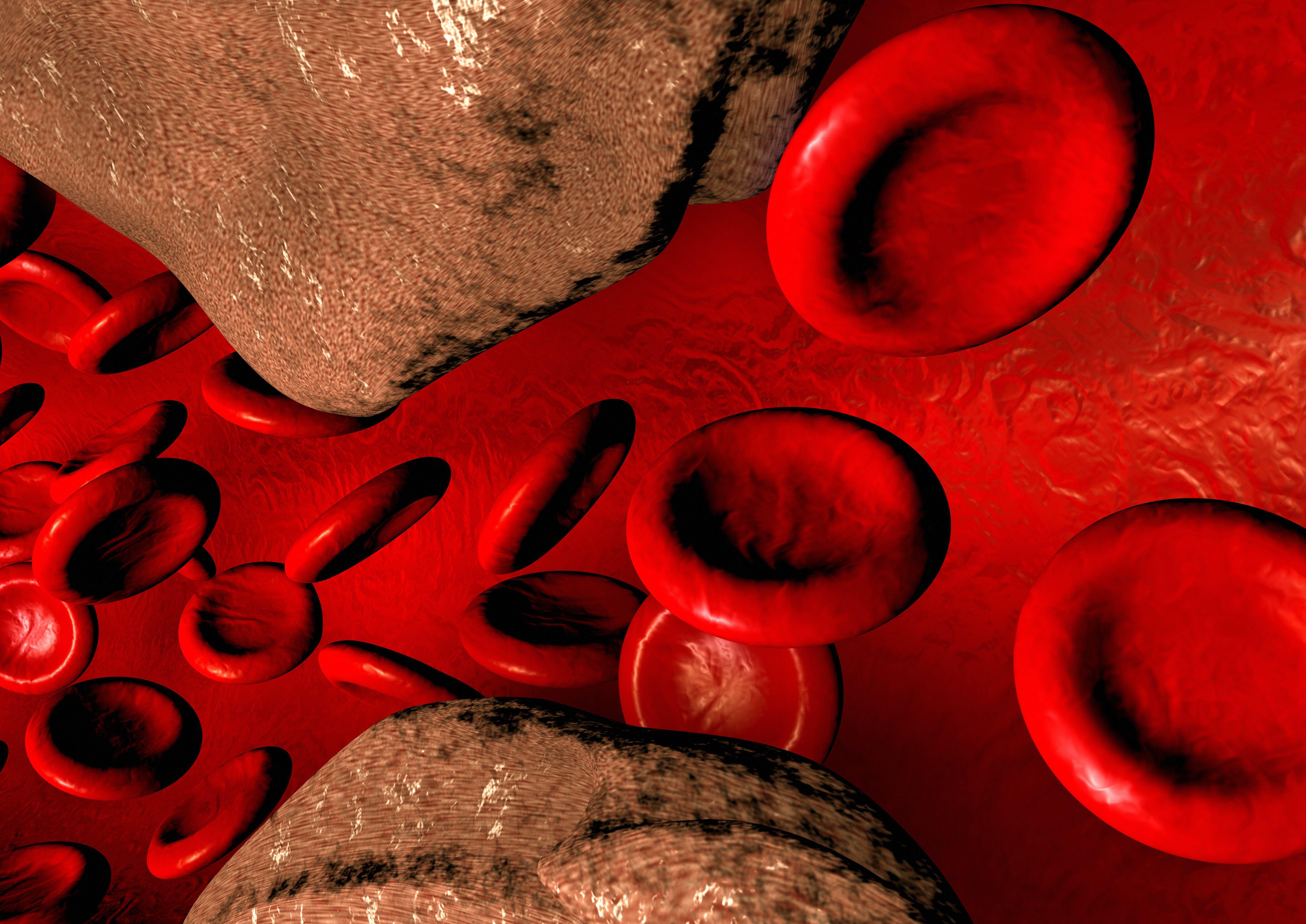 Mantener una dieta balanceada contribuye en limpiar la sangre.