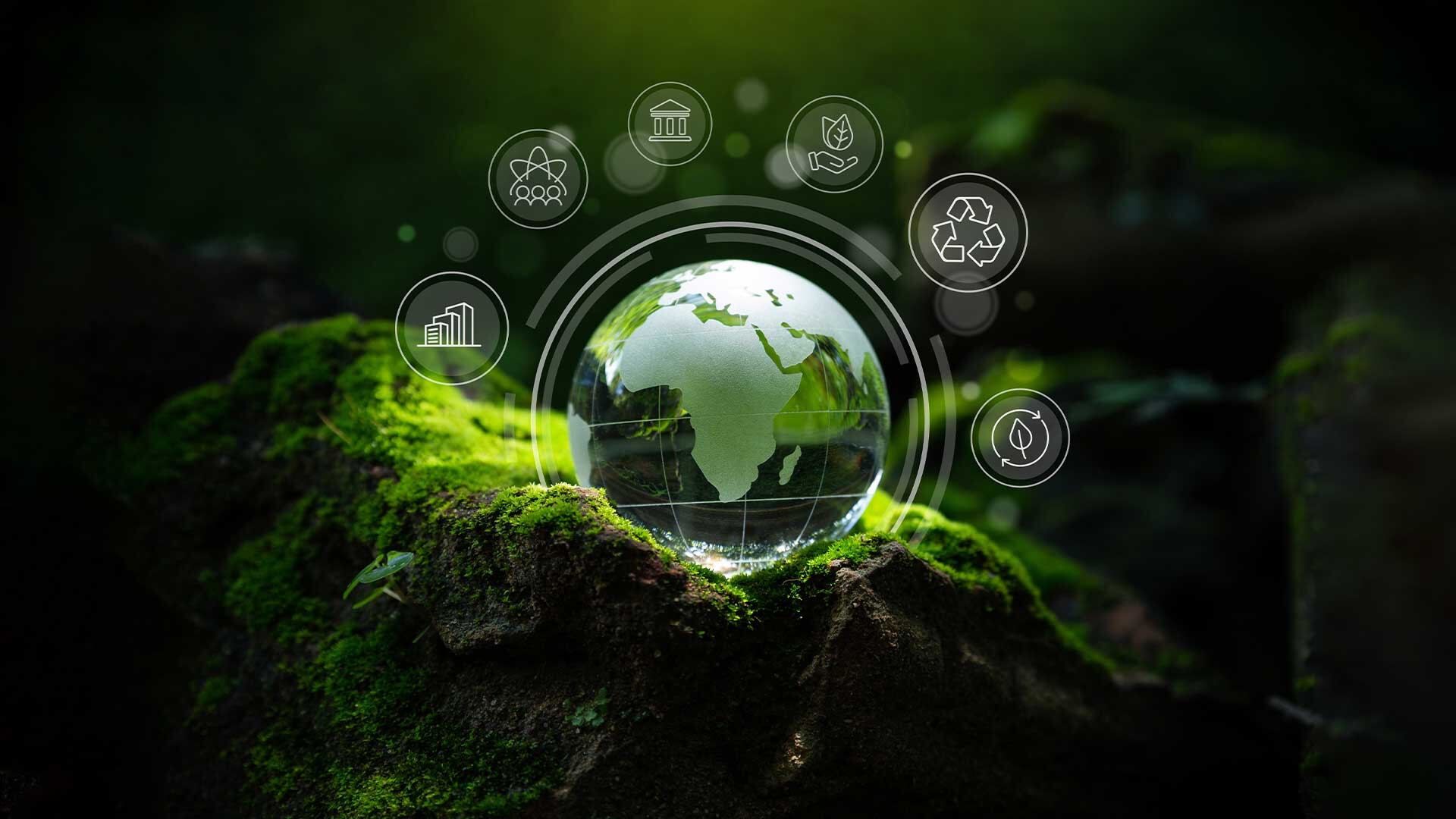 Se estima que los residuos sólidos urbanos podrían llegar a 3.800 millones de toneladas en 2050, de allí la importancia de las iniciativas privadas y públicas para mitigarlos.