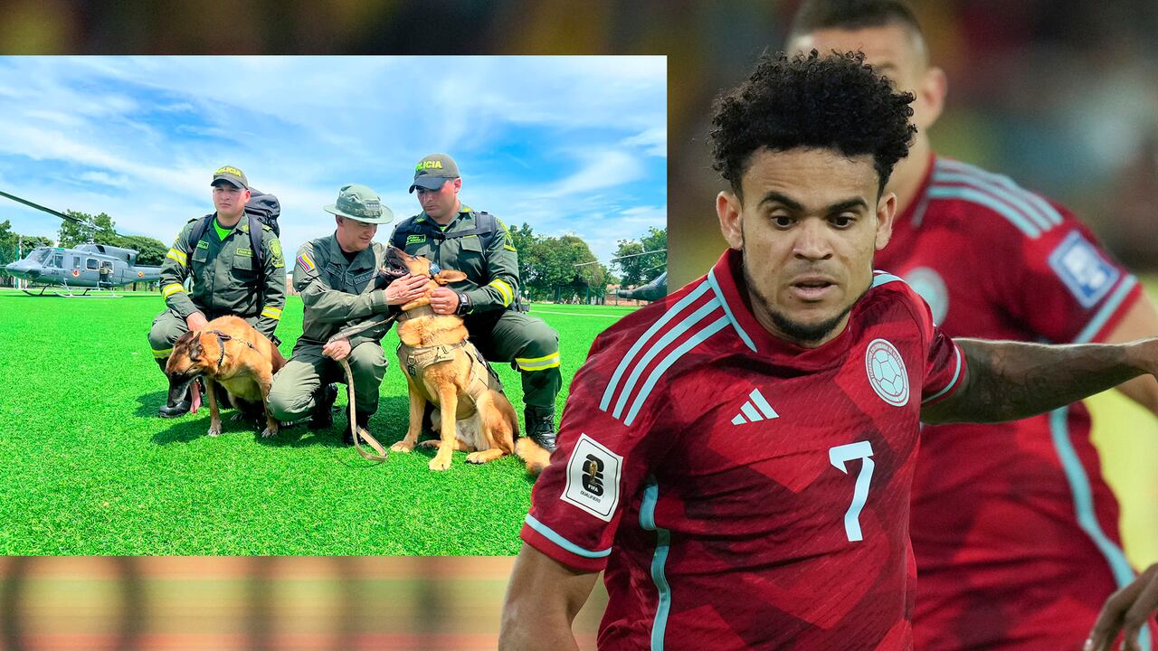 Luis Díaz Perros Policia