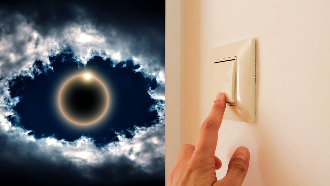 Cada vez surgen más proyectos enfocados en la sostenibilidad y el cuidado del medioambiente.