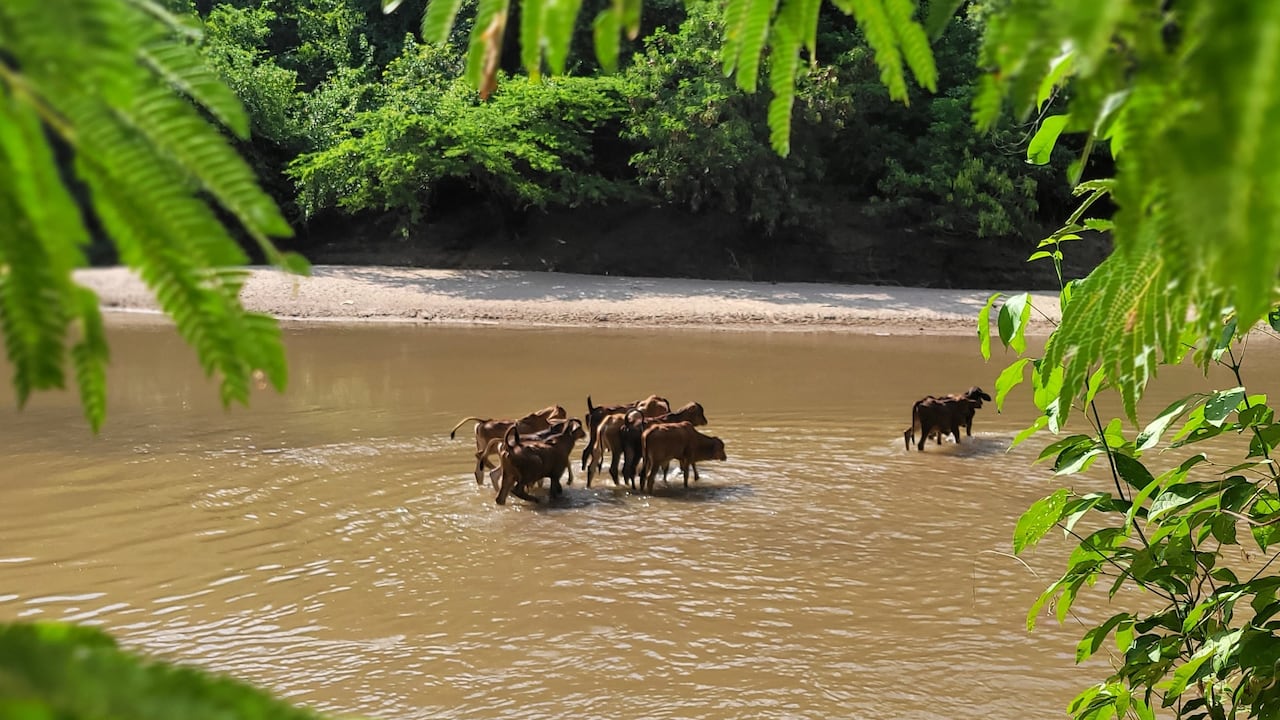 El río Ranchería, en La Guajira.