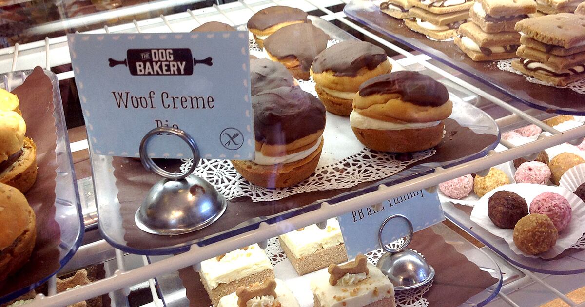 Selección colombiana de pastelería se prepara para representar al país