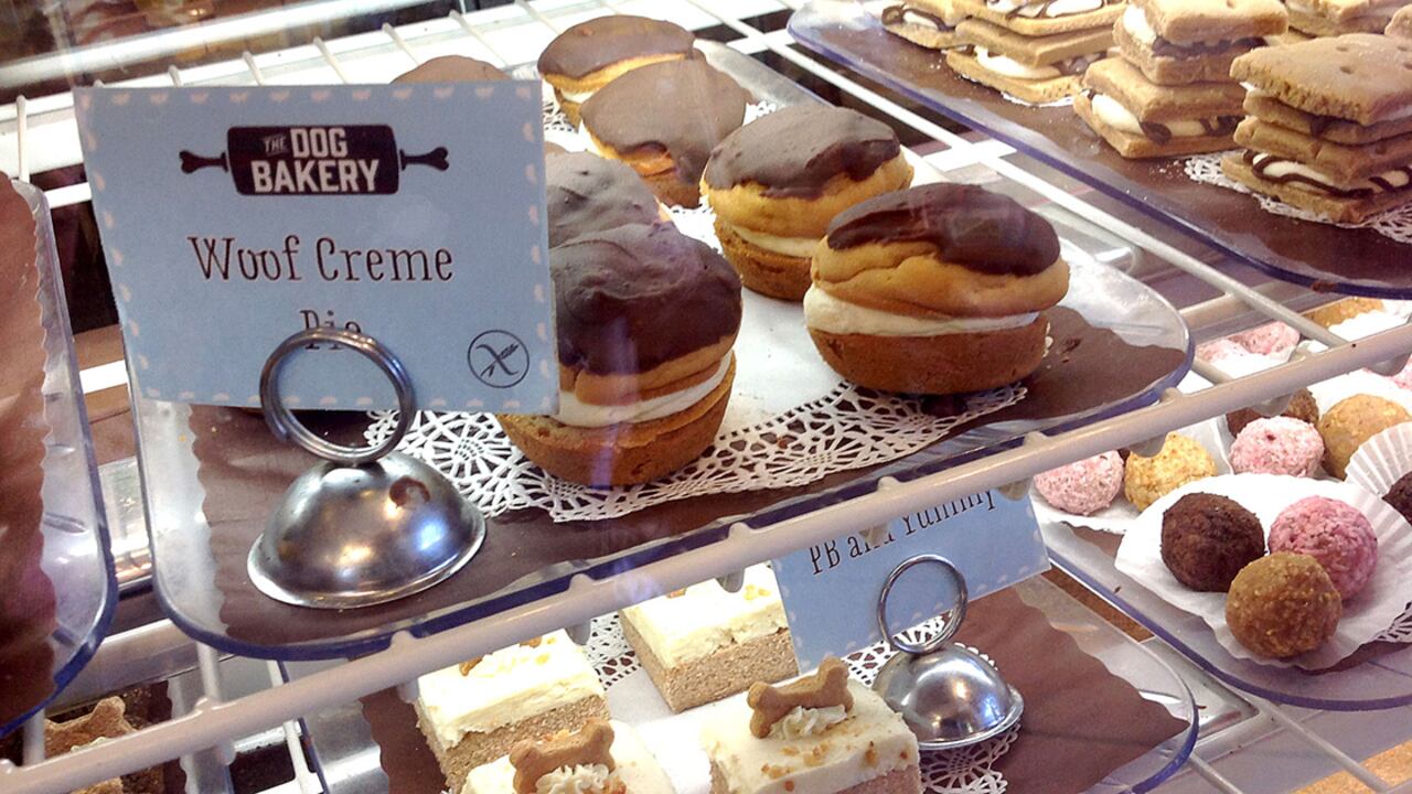 ¿Sabías que en ciudades como Madrid y Londres existen bakeries de lujo para perros y gatos? Allí, los productos son exclusivos, como si se tratara de una dulce boutique creada por el mismísimo Albert Adrià, el mejor chef pastelero del mundo.