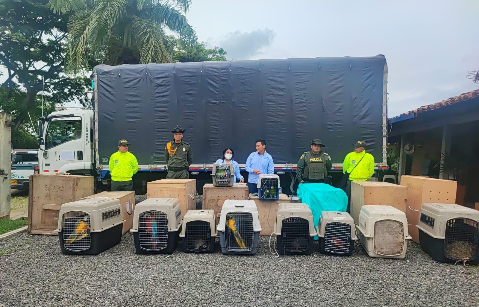 Treinta ejemplares fueron rescatados por las autoridades.