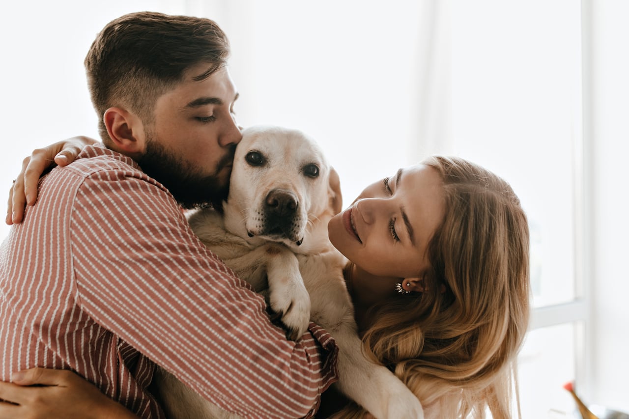 Romantic couple in good mood plays and hugs white dog. Man kisses his labrador against window