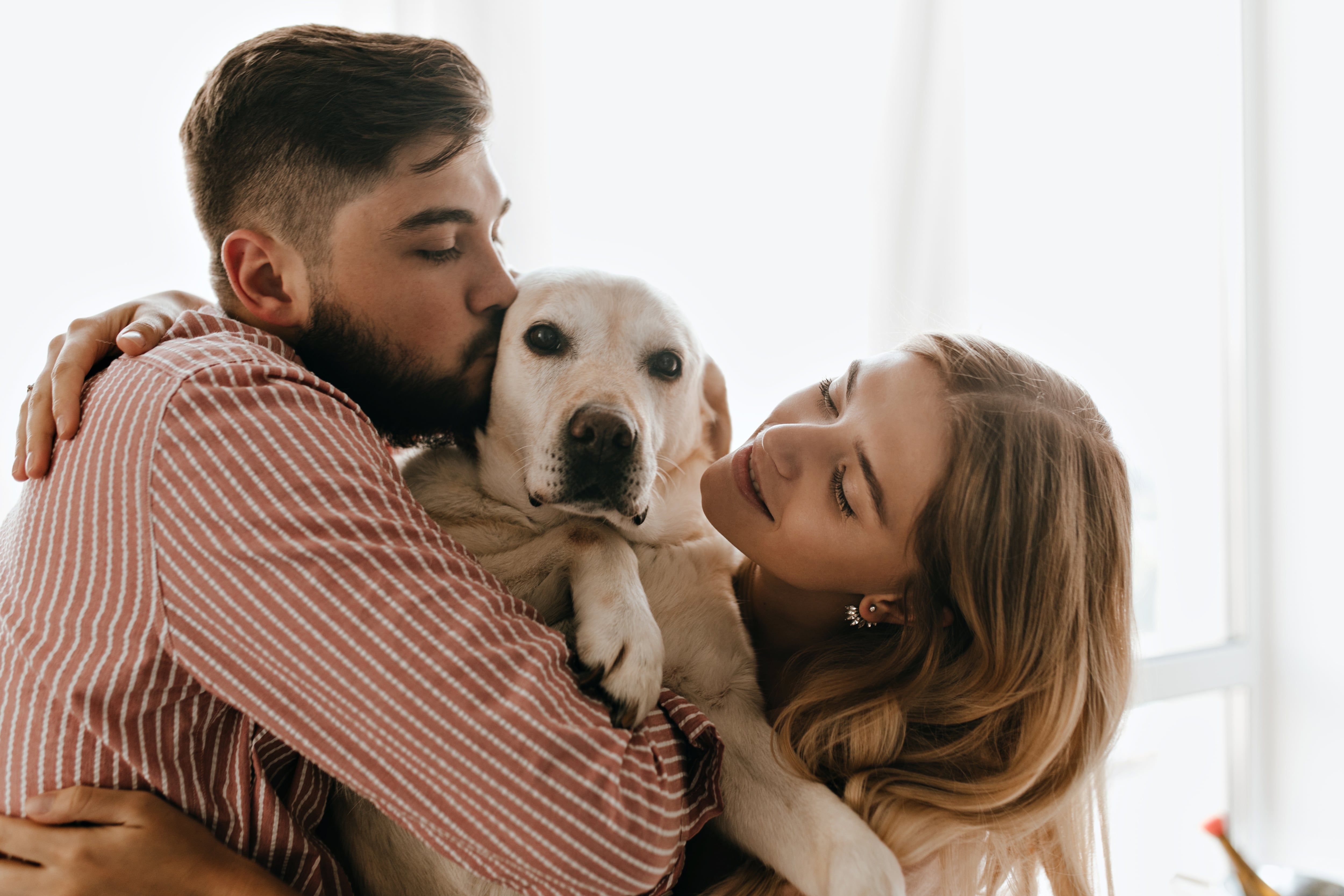 Romantic couple in good mood plays and hugs white dog. Man kisses his labrador against window