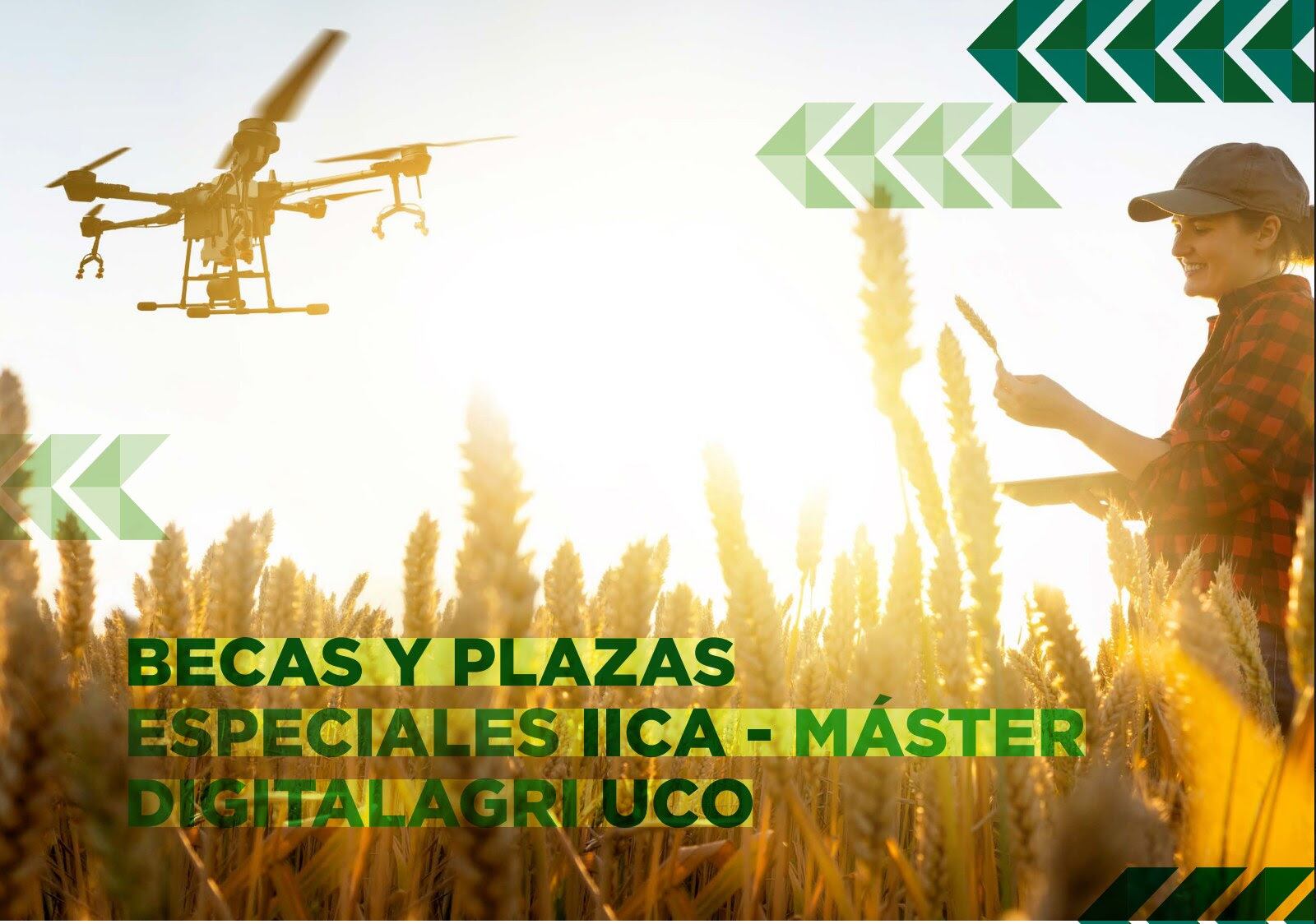 Se entregarán un total de 3 becas.