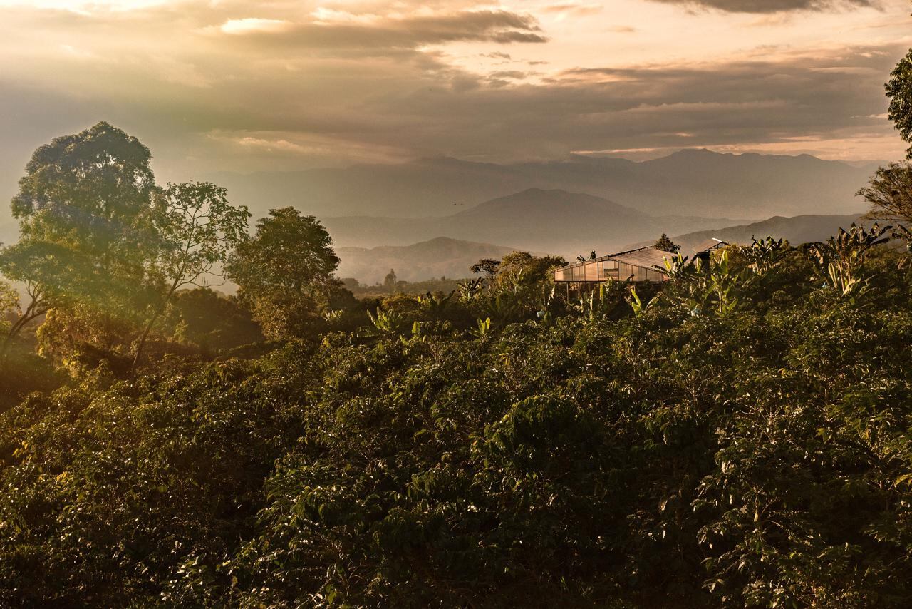 El departamento del Huila es una tierra productora de café.