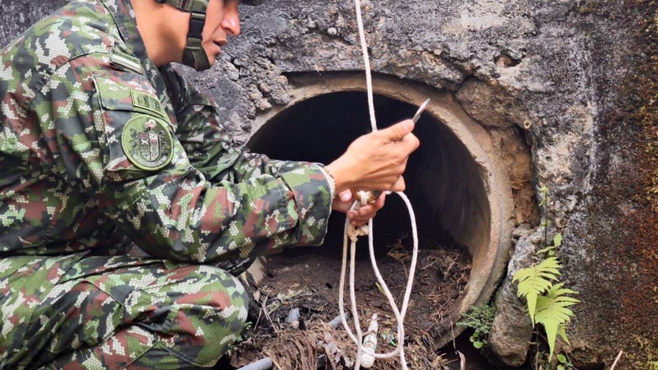 Desactivan explosivos en Piendamó, Cauca.