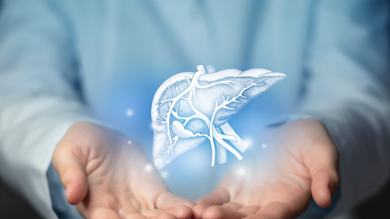 El hígado es un órgano más grande dentro del cuerpo ubicado en la parte superior del abdomen y es el encargado de limpiar la sangre y ayudar a la digestión secretando bilis, almacenar energía y eliminar toxinas.