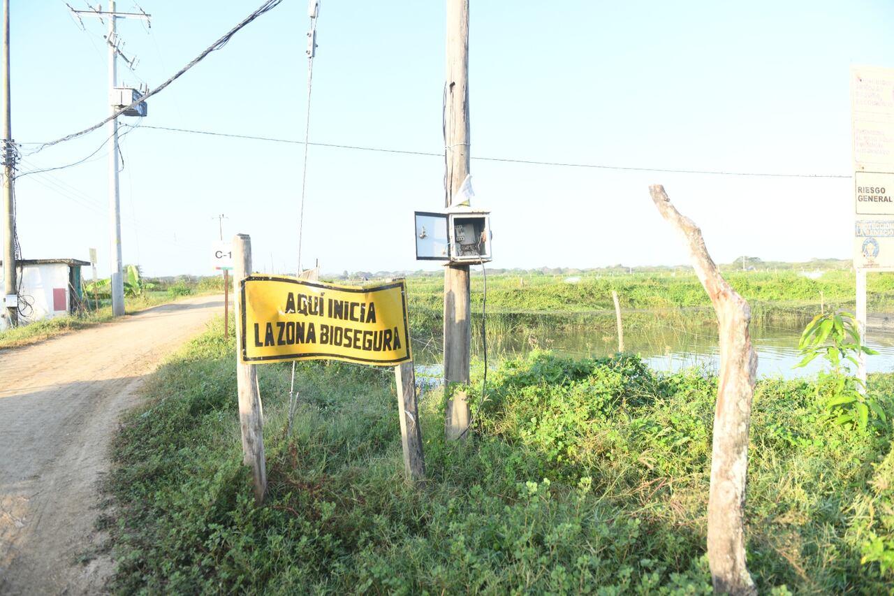La carga eléctrica nisiquiera es la autorizada en este momento por la compañía.
