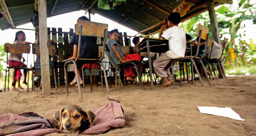 ¡Qué vergüenza!_6