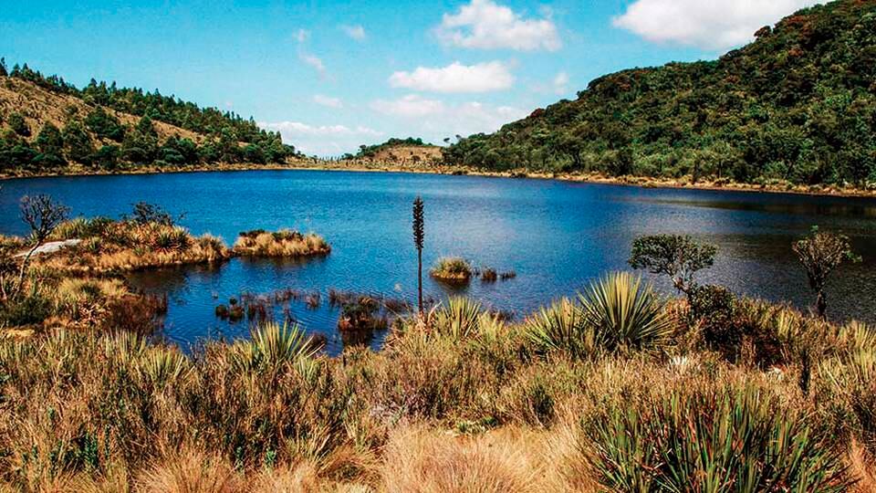 Colombia puede luchar contra el cambio climático.