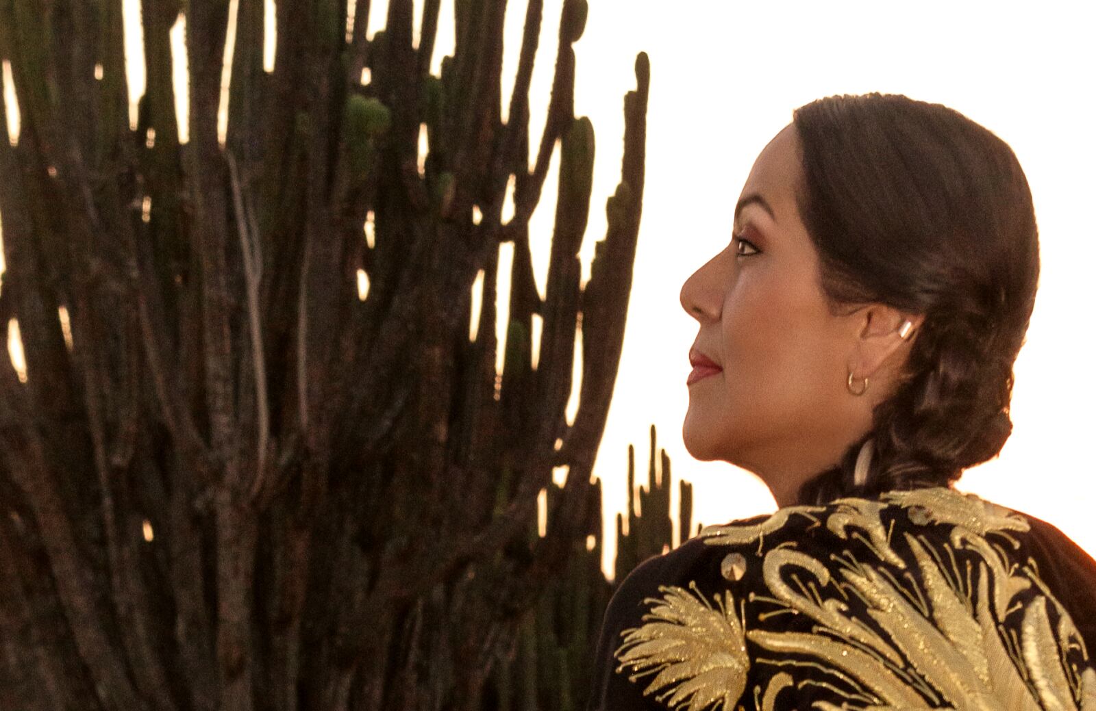 Para esta artista mexicana excepcional que es Lila Downs, el arte se siente.