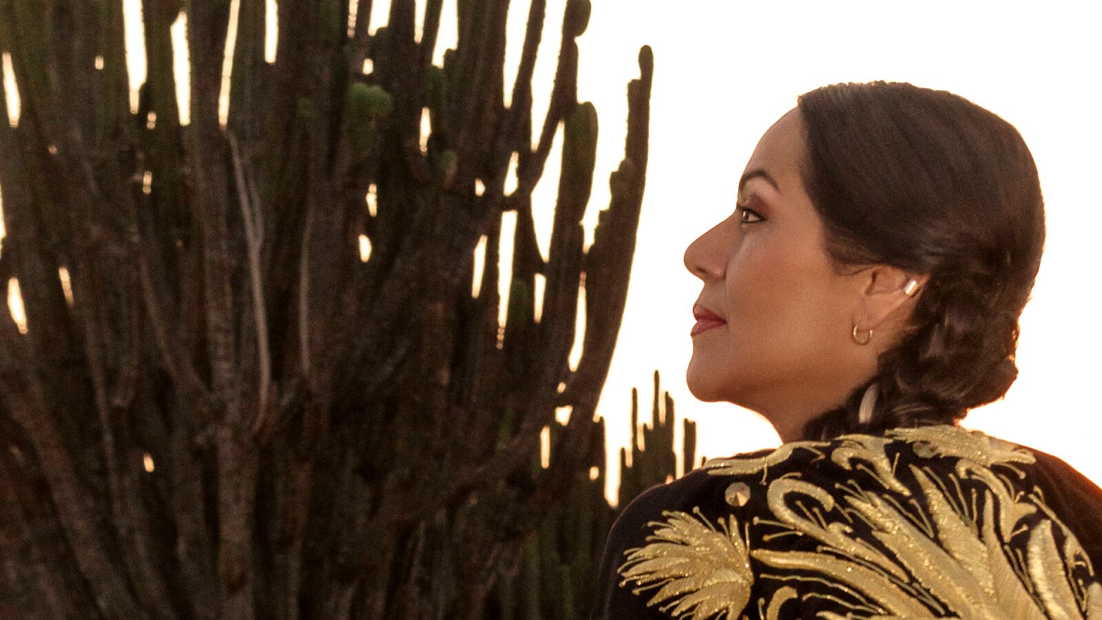 Para esta artista mexicana excepcional que es Lila Downs, el arte se siente.