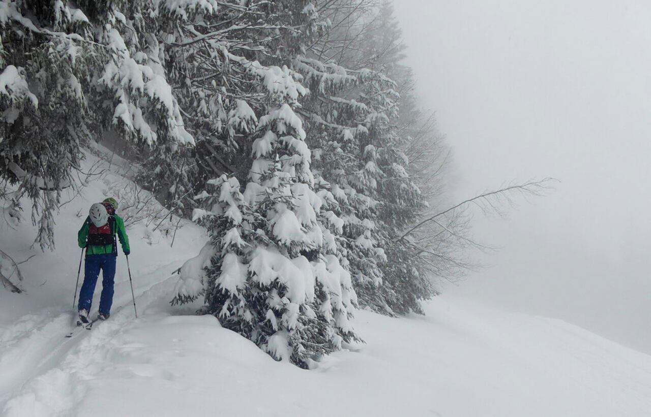 la cifra de muertos en avalanchas en Suiza durante el invierno boreal fue de 11 este año.