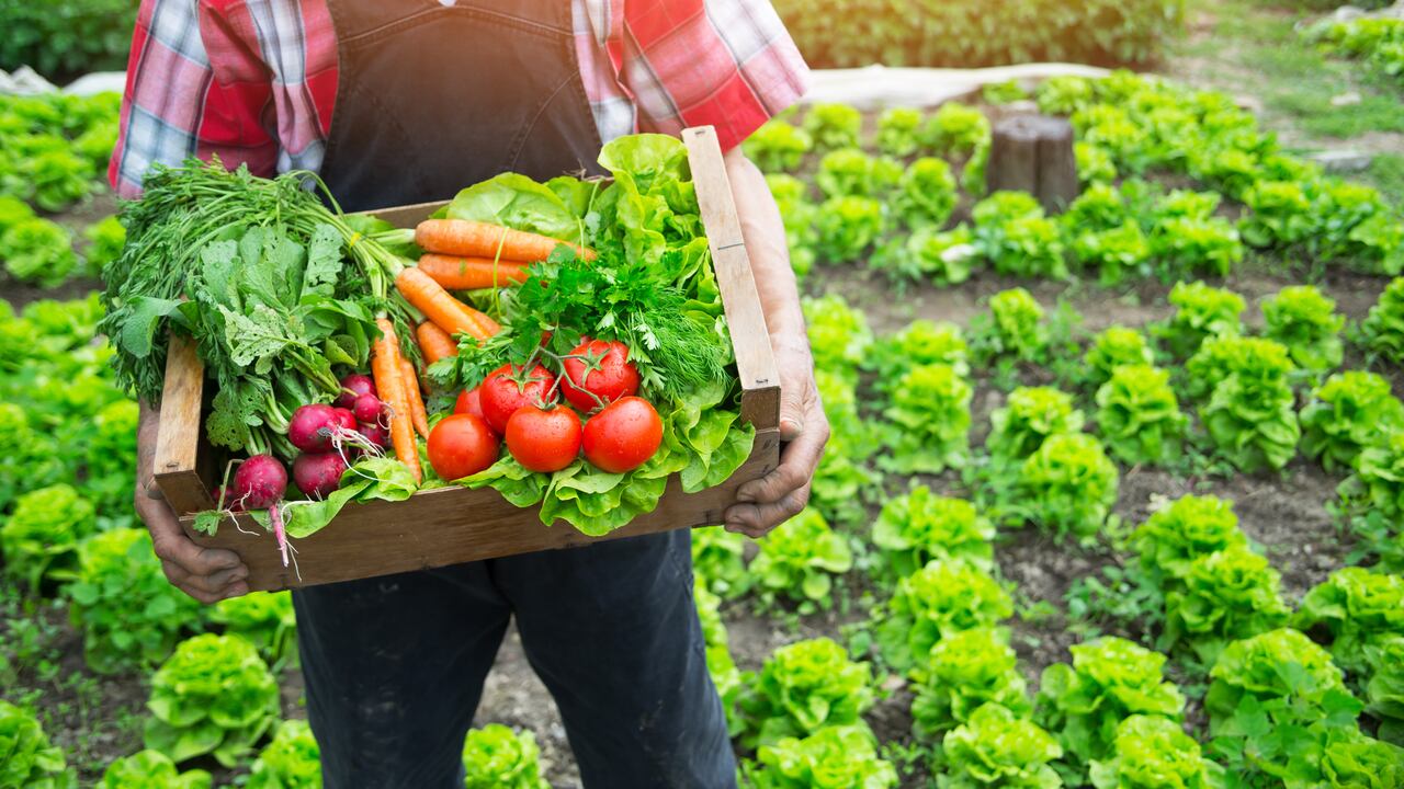 Imagen de referencia, no corresponde al caso en mención.