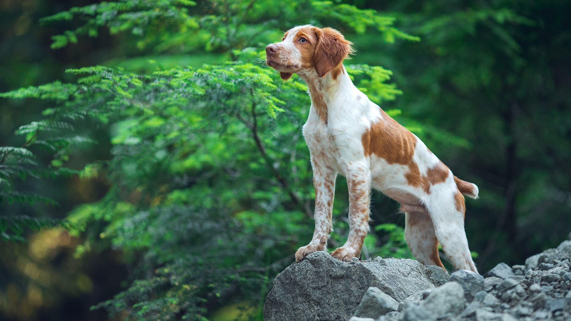 Veterinaria Especializada S.A.S.