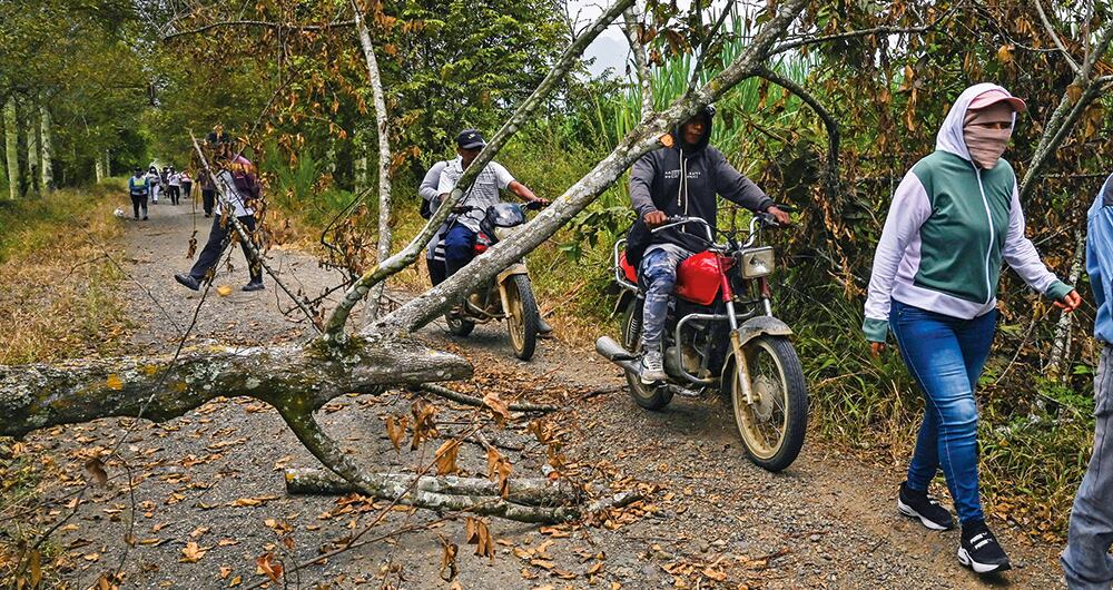 Los funcionarios del Igac y de castrato manipulan los números de referencias catastrales y modifican los linderos sin tener competencia legal. 