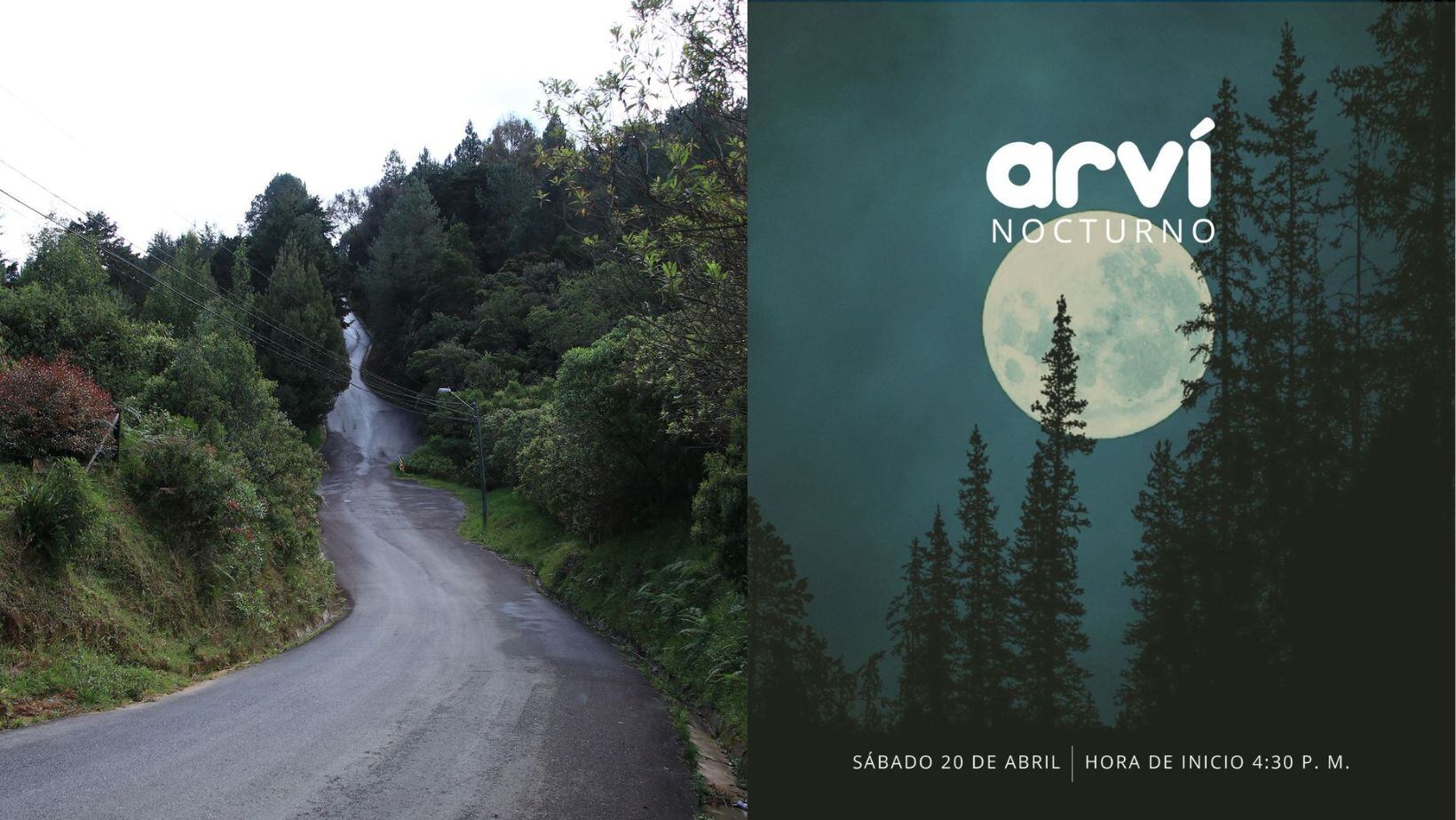 ¿Qué lugares visitar en Medellín? Estos son los sitios preferidos por los turistas