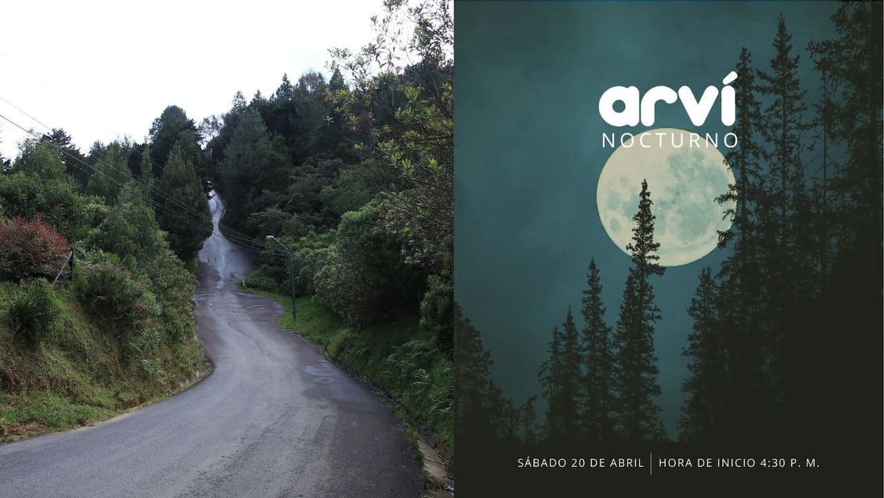 ¿Qué lugares visitar en Medellín? Estos son los sitios preferidos por los turistas