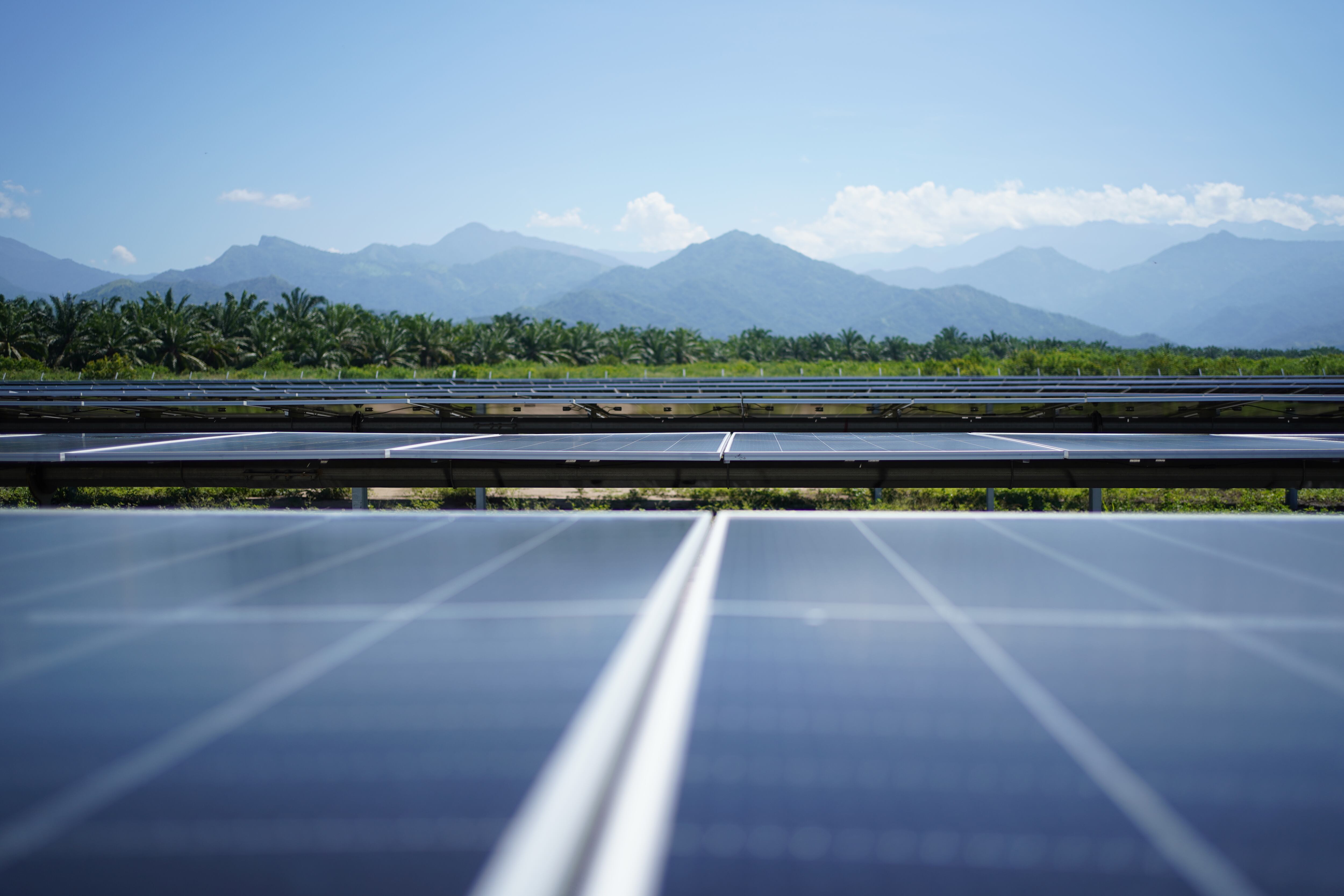 En tan solo dos años, la compañía aumentó su capacidad de menos de 10 megavatios instalados a 120, que alcanzará al concluir 2024.