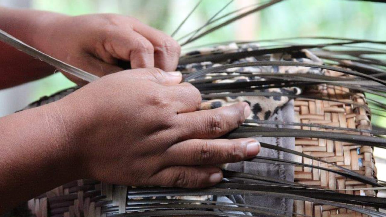 Más de 1.000 piezas elaboradas por 184 artesanos, de 17 oficios tradicionales, se encuentran exhibidas en la plataforma artesaniasdecolombiatienda.com.co.
La participación de los artesanos es gratuita y reciben en su totalidad los ingresos que generan. No existe intermediación