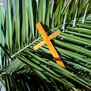 Cruz de madera sobre hojas de palma, Domingo de Ramos. Esto fue filmado en Jerusalén, Israel, las hojas de palma son autóctonas de Tierra Santa.