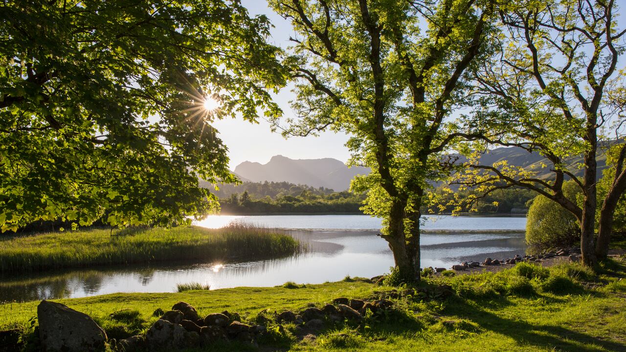 Imagen de referencia, no corresponde al caso en mención.