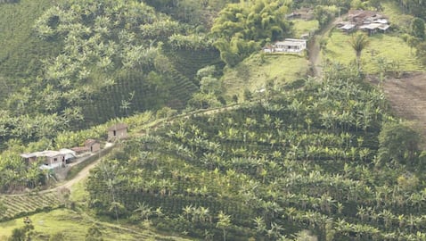 Quinchía