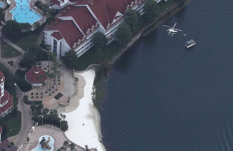 El funcionario también agregó que Los caimanes son comunes en Florida, donde se los puede encontrar en ríos y lagos del Estado. Foto: Joe Raedle/Getty Images/AFP 