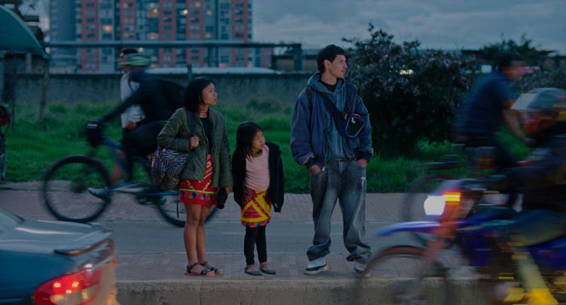 'Donde comienza el río', Juan Andrés Arango García, se estrena en el TIFF 2026.