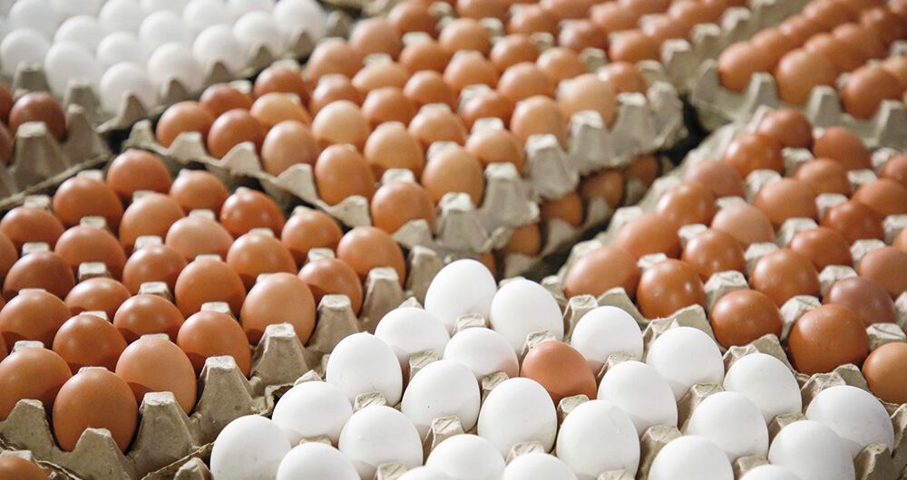 lista la ley del turismo_2