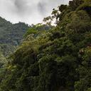 Más de 10.000 millones de pesos se invertirán en tres años en desarrollo del convenio. Foto: Cornare