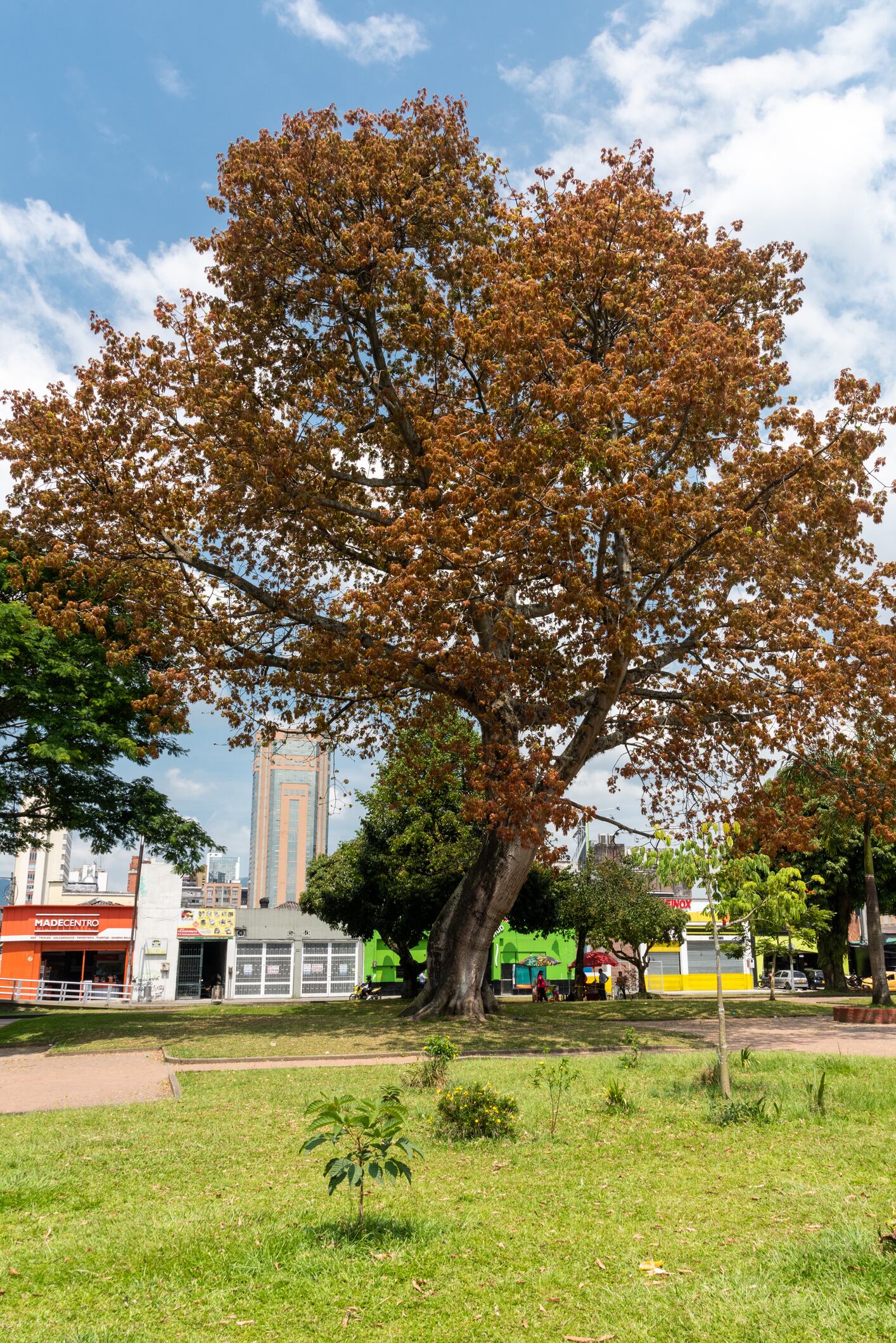 Parque Olaya Herrera, en Pereira.