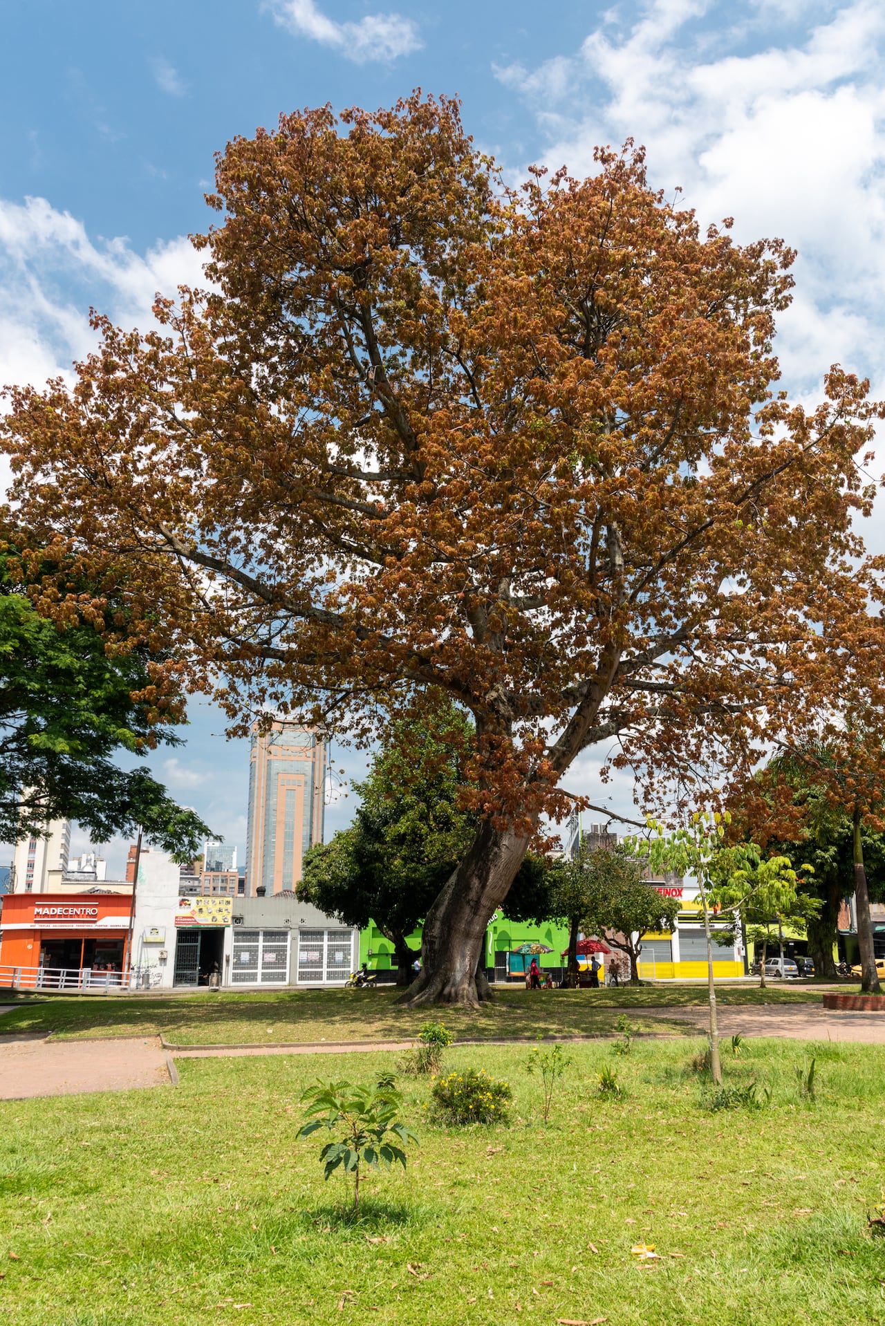 Parque Olaya Herrera, en Pereira.