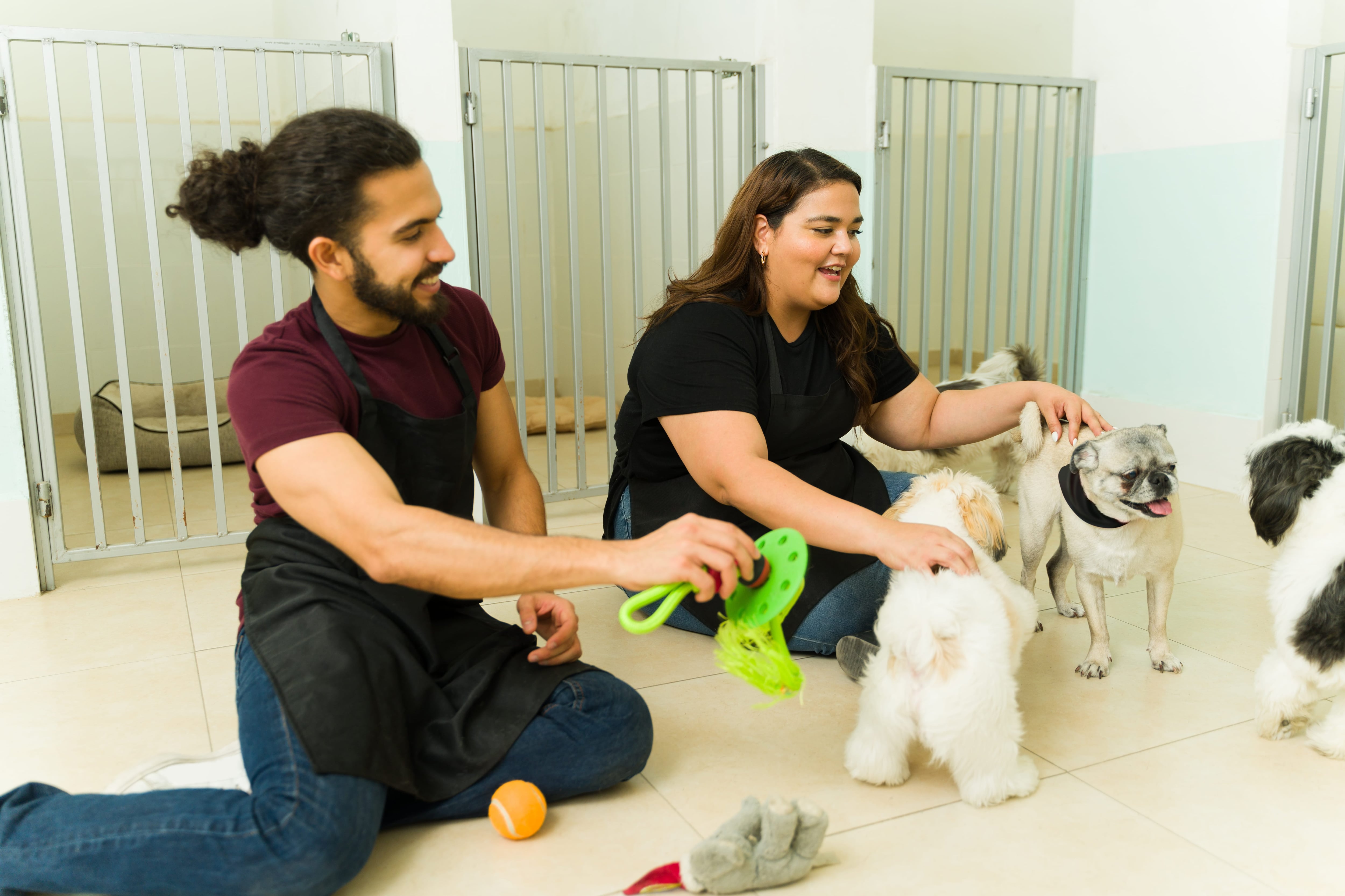 Cada día existen más colegios y guarderías para perros y gatos, para cuando sus dueños están ocupados.
