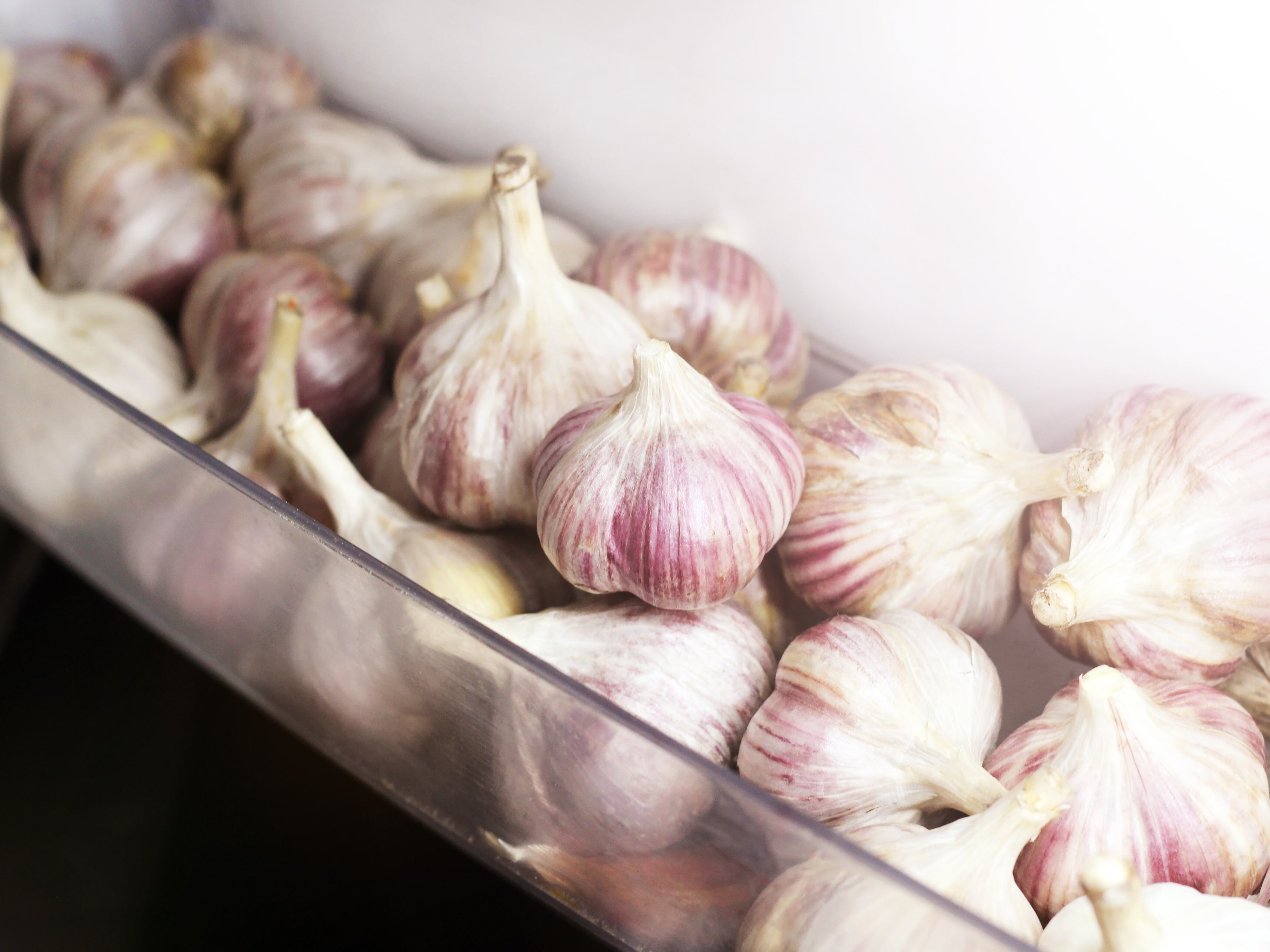 ¿Cómo conservar el ajo?