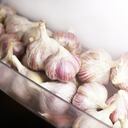 ¿Cómo conservar el ajo?