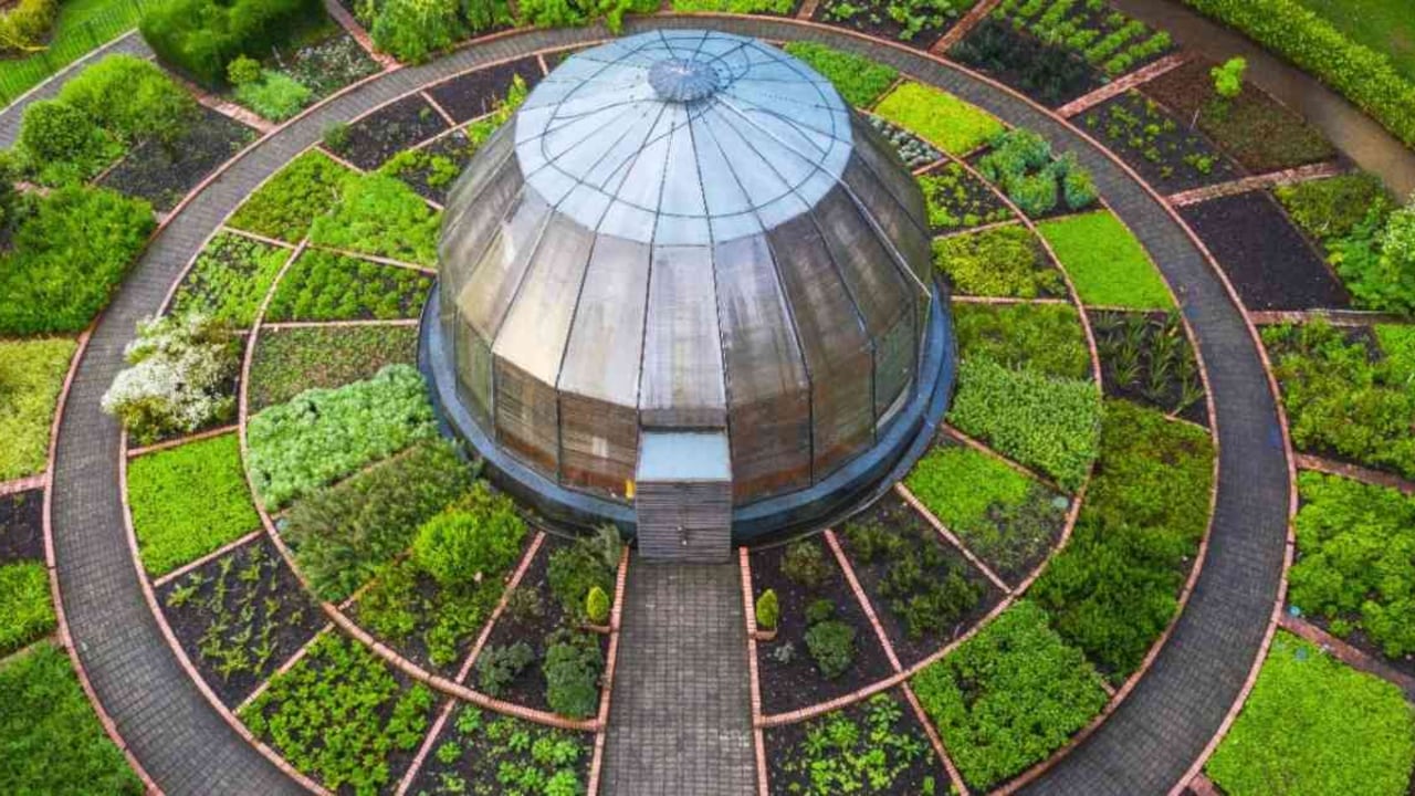 En el Jardín Botánico de Bogotá es posible encontrar cerca de 55.000 individuos de plantas, de es posible encontrar cerca de 55.000 individuos de plantas, de 304 familias y 469 géneros. Foto: JBB.