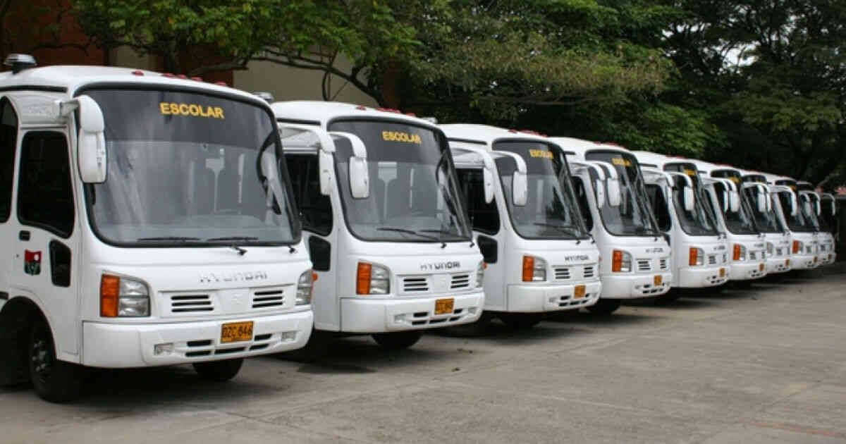 buses escolares
