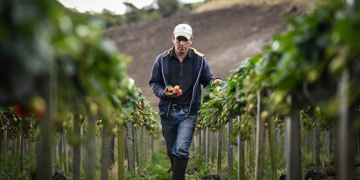 (FINDETER) recibió un cupo de redescuento de $100 millones por parte de la Junta Directiva del Fondo para el Financiamiento del Sector Agropecuario (FINAGRO).
