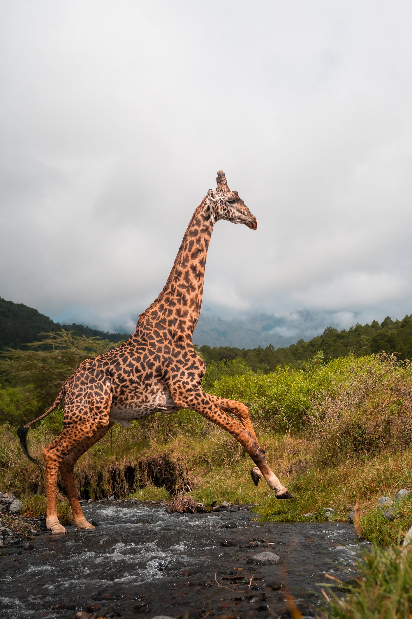 Tanzania