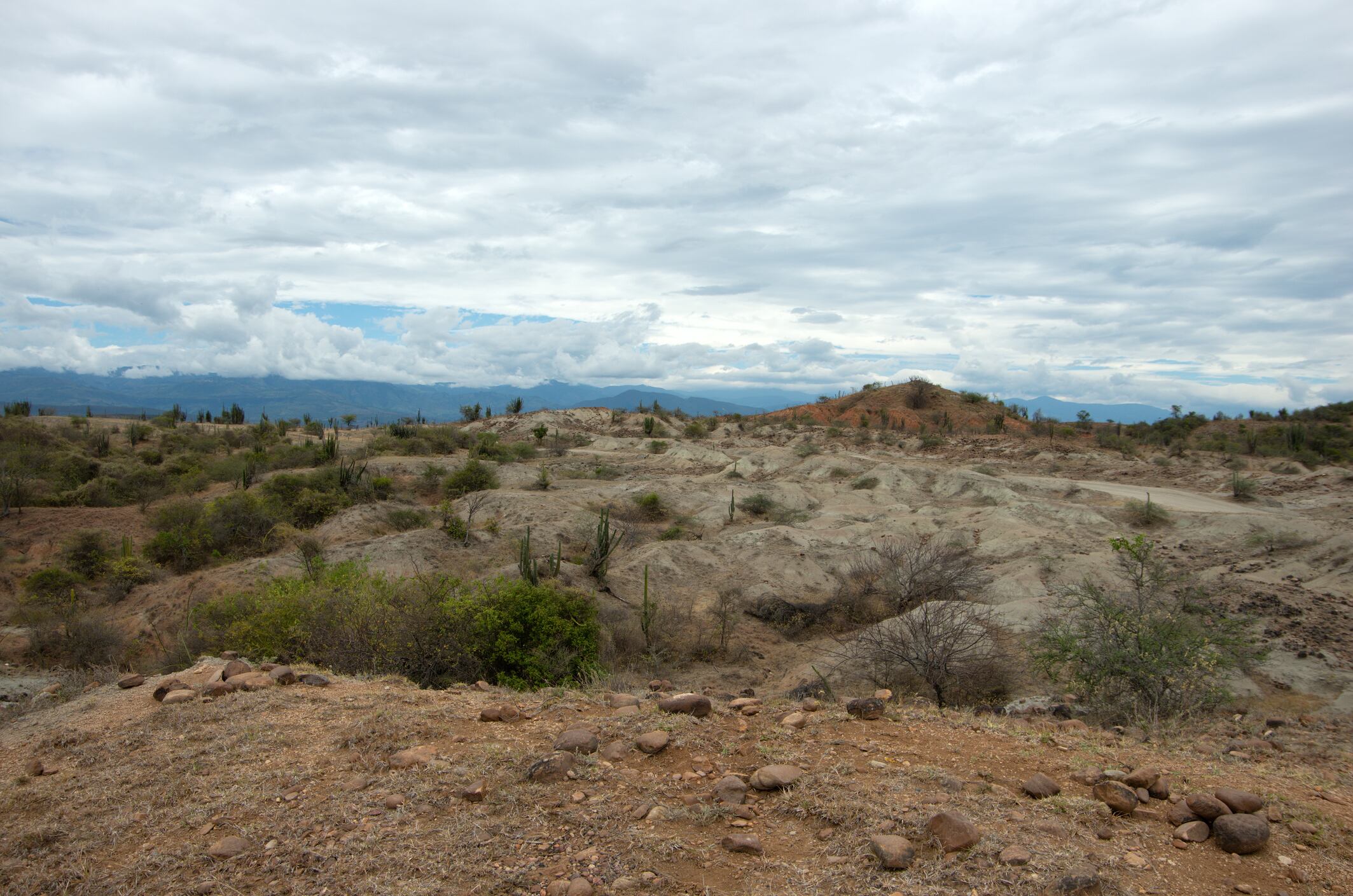 Desierto de la Tatacoa