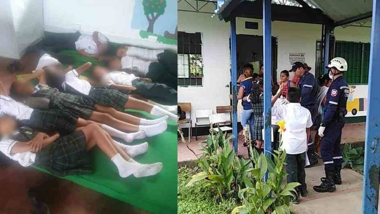 Niños intoxicados por plaguicidas.